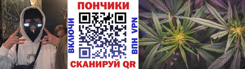 Каннабис конопля  как найти   Нахабино 